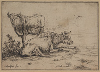 TvB G 0355
<br/>
Twee koeien
<br/>
<em>Borssom, Anthonie van (1630/31-1677)</em>